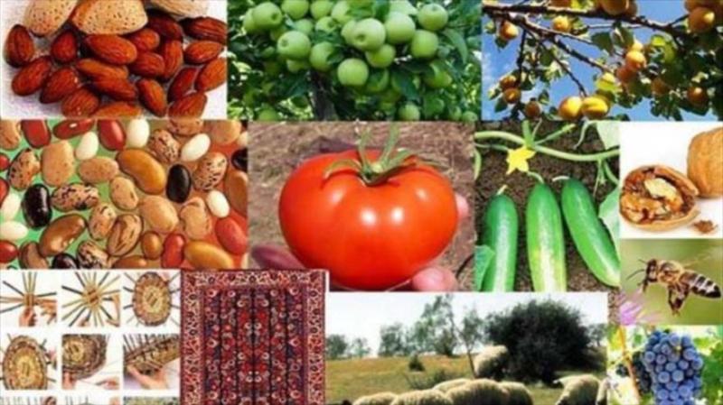 صدور بی...